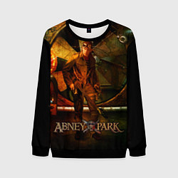 Свитшот мужской Abney Park, цвет: 3D-черный