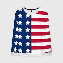 Свитшот мужской USA Flag, цвет: 3D-белый