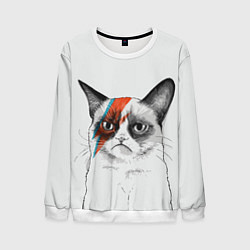 Свитшот мужской David Bowie: Grumpy cat, цвет: 3D-белый