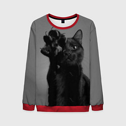 Свитшот мужской Черный котик, цвет: 3D-красный