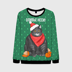 Мужской свитшот Оливье неси