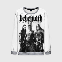 Мужской свитшот Behemoth Group