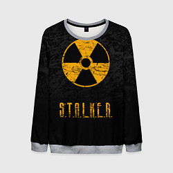 Свитшот мужской STALKER: Radioactive, цвет: 3D-меланж