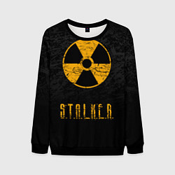 Мужской свитшот STALKER: Radioactive