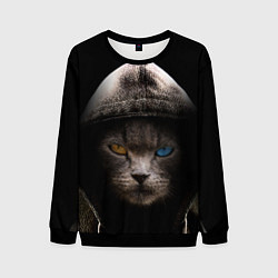 Свитшот мужской Уличный кот, цвет: 3D-черный
