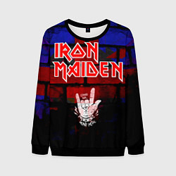 Свитшот мужской Iron Maiden, цвет: 3D-черный