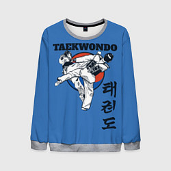 Свитшот мужской Taekwondo, цвет: 3D-меланж
