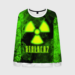 Мужской свитшот STALKER 2
