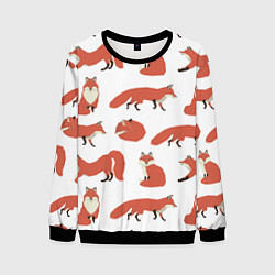 Свитшот мужской Лисий хвост, цвет: 3D-черный