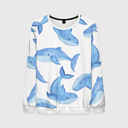 Свитшот мужской Косяк китов, цвет: 3D-белый