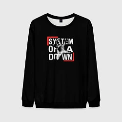 Свитшот мужской System of a Down, цвет: 3D-черный