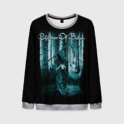 Мужской свитшот Children of Bodom 14