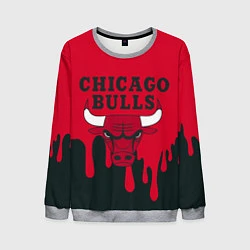 Свитшот мужской Chicago Bulls, цвет: 3D-меланж
