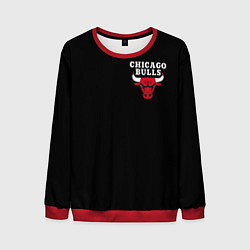 Мужской свитшот CHICAGO BULLS