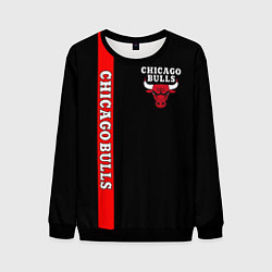 Свитшот мужской CHICAGO BULLS, цвет: 3D-черный