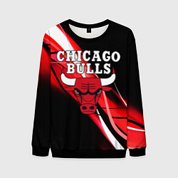 Свитшот мужской CHICAGO BULLS, цвет: 3D-черный