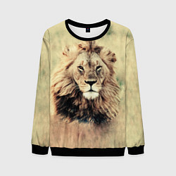 Свитшот мужской Lion King, цвет: 3D-черный