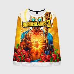 Мужской свитшот Borderlands 3