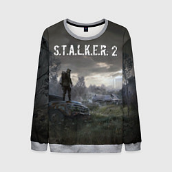 Свитшот мужской STALKER 2, цвет: 3D-меланж