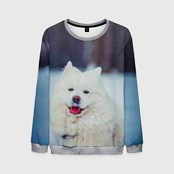 Свитшот мужской САМОЕД, цвет: 3D-меланж