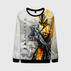 Мужской свитшот DESTINY, WARLOCK