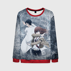 Мужской свитшот Врата Штейна