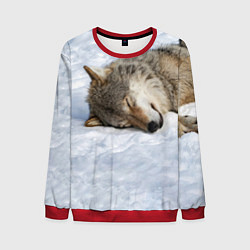 Свитшот мужской Спящий Волк, цвет: 3D-красный