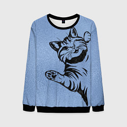 Свитшот мужской Улыбающийся кот, цвет: 3D-черный