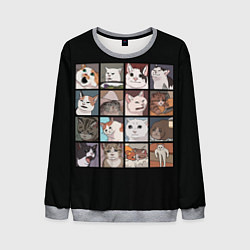 Свитшот мужской Коты и кошки, цвет: 3D-меланж