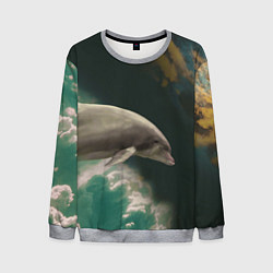 Свитшот мужской Дельфин в облаках, цвет: 3D-меланж