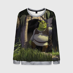 Свитшот мужской Shrek: Somebody Once Told Me, цвет: 3D-меланж