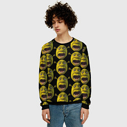 Свитшот мужской Шрек навсегда, цвет: 3D-черный — фото 2