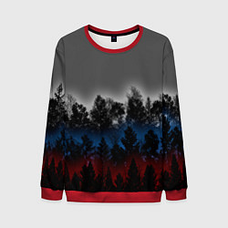 Мужской свитшот Флаг из леса