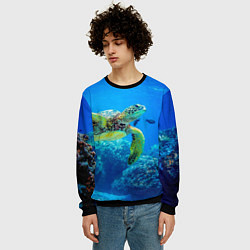 Свитшот мужской Морская черепаха, цвет: 3D-черный — фото 2