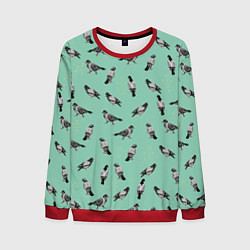 Мужской свитшот Голуби на зеленом