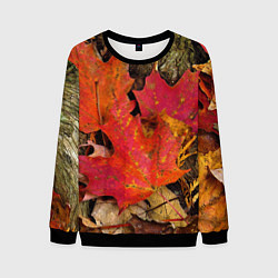 Свитшот мужской Листопадкленовые листья, цвет: 3D-черный