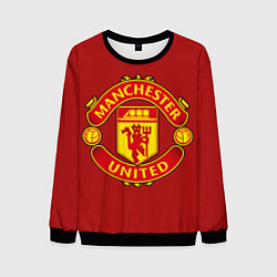 Свитшот мужской Manchester United F C, цвет: 3D-черный