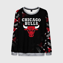 Свитшот мужской ЧИКАГО БУЛЛС БЫКИ CHICAGO BULLS, цвет: 3D-меланж