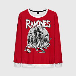 Свитшот мужской BW Ramones, цвет: 3D-белый
