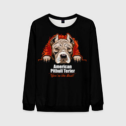 Свитшот мужской Американский Питбультерьер Pit Bull, цвет: 3D-черный