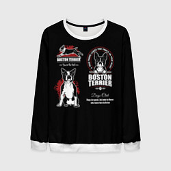 Свитшот мужской Бостон-Терьер Boston Terrier, цвет: 3D-белый