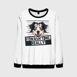 Свитшот мужской Австралийская Овчарка Australian Shepherd, цвет: 3D-черный