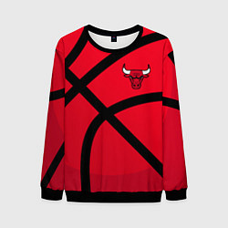 Свитшот мужской Чикаго Буллз Chicago Bulls NBA, цвет: 3D-черный