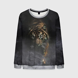 Свитшот мужской Тигр в тумане, цвет: 3D-меланж