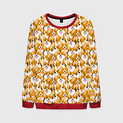 Мужской свитшот Собаки Корги