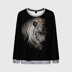 Свитшот мужской Загадочный тигр, цвет: 3D-меланж