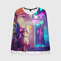 Свитшот мужской Stray, цвет: 3D-белый