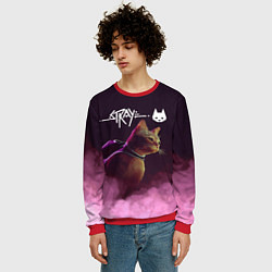 Свитшот мужской Stray, цвет: 3D-красный — фото 2