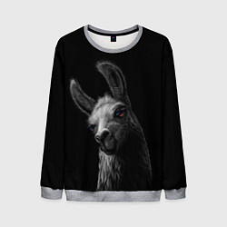 Свитшот мужской Портрет милой ламы, цвет: 3D-меланж