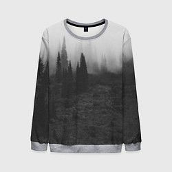 Мужской свитшот Туманный лес - туман